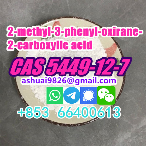 Good Quality Best Price CAS 5449-12-7 2-methyl-3-phenyl-oxirane-2-carboxylic acid