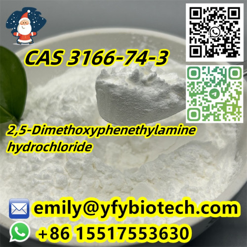 2,5-Dimethoxyphenethylamine hydrochloride C10H16ClNO2 CAS 3166-74-3