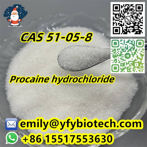 Procaine hydrochloride C13H21ClN2O2 CAS 51-05-8
