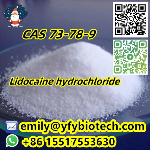 Lidocaine hydrochloride C14H23ClN2O CAS 73-78-9