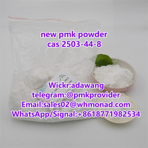 pmk powder cas 28578-16-7 to netherland safety