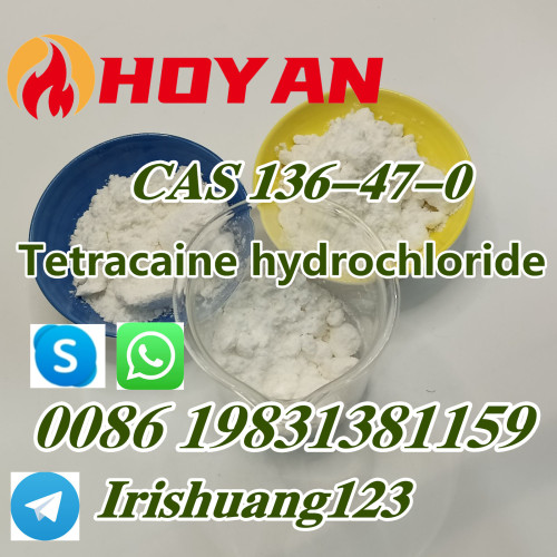 China Supplier Hydrochloride CAS 136-47-0 Factory Powder