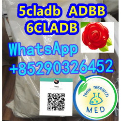 syChemical Research Factory