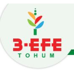 3 - Efe Tohum Tarımsal Orman Ürünleri Ve Teknolojik Danışmanlık San. Ve Tic. Ltd. Şti.