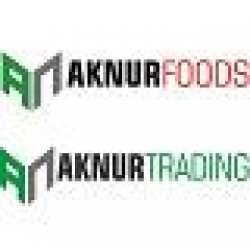 AKNUR ELEKTRONIK LTD. STI.