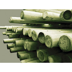 ALI IHSAN FIDAN ORMAN URUNLERI LTD. STI.