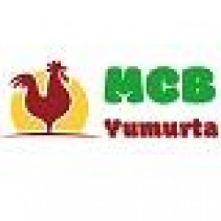 ALİ OSMAN KORKMAZ OĞULLARI LTD. ŞTİ.