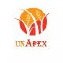 APEX GIDA ENERJI BILISIM INS.NAK.IML.ITH.IHR.TAR.URN.SAN VE TIC.LTD.STI.