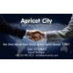 APRICOT CITY