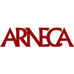 Arneca Danışmanlık