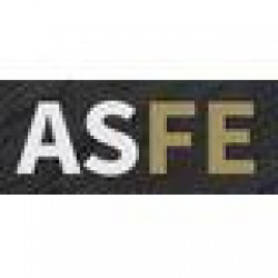 AS-FE OTOMOTIV LTD. STI.