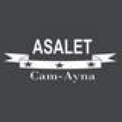 ASALET CAM-AYNA LTD. STI.