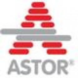 ASTOR TRANSFORMATOR ENERJI TURIZM INS. VE PETROL SAN. TIC. A.S.