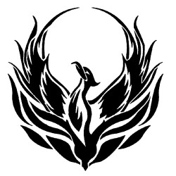 Avicenna Exports LLC