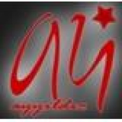 AYYILDIZ BİSİKLET GIDA LTD. ŞTİ.