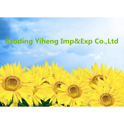 Baoding yiheng imoprt&export co., ltd