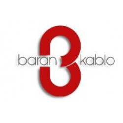 Baran Kablo Elektrik Elektronik Otomotiv Sanayi Ve Ticaret Limited Şirketi