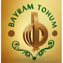 Bayram Tohum - Tümaş Deniz Ürünleri Paz. Ve Tic. Ltd. Şti.