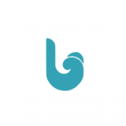 BELGINS TEKSTIL LTD. STI.