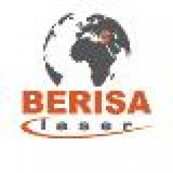 BERISA LAZER LTD. STI.
