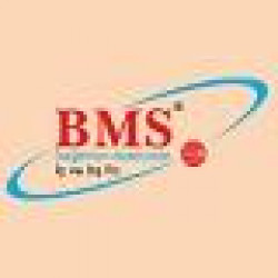 BMS DEGIRMEN MAKINELERI LTD. STI.