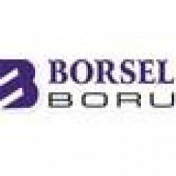 BORSEL BORU LTD. STI.