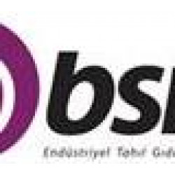 BSM ENDUSTRIYEL TAHIL GIDA A.S.