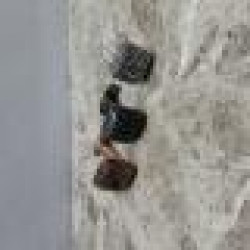 CARLO POZZI ACCESSORIES