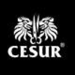 CESUR TEKSTİL SAN. VE DIŞ TİC. LTD. ŞTİ.