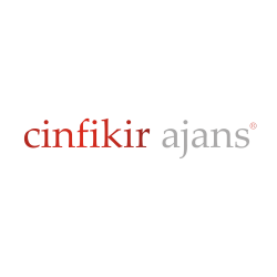Cin Fikir Ajans