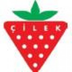 CILEK  MOBILYA  A.S.