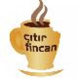 CITIR FINCAN