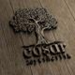 COSAR ZEYTINCILIK LTD. STI.