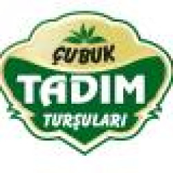 CUBUK TADIM TURSULARI