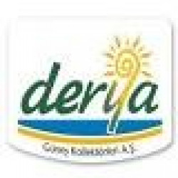 DERYA GUNES KOLLEKTORLERI A.S.