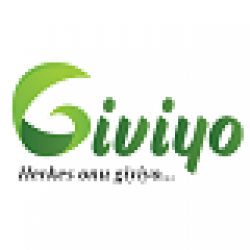 DESSA AYAKKABI LTD. STI.