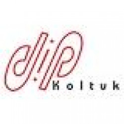 DIP KOLTUK LTD. STI.