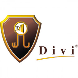 DİVİ İTHALAT SAN. TİC. LTD. ŞTİ.