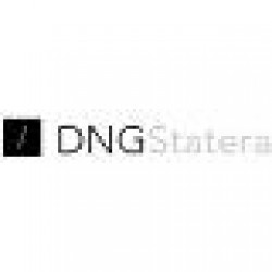 DNG STATERA TİC. LTD. ŞTİ.