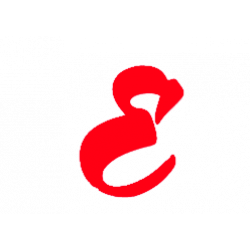 ECO INTERNATIONAL LIMITED