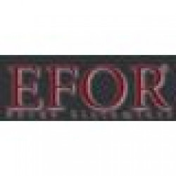 EFOR DEKORATIF LTD. STI.