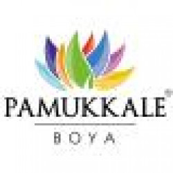 FAZILET BOYA LTD. STI.