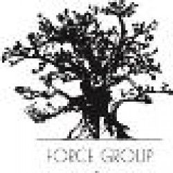FORCE GRUPS