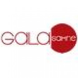 GALA SAHNE MEKANIK SISTEMLERI LTD. STI.