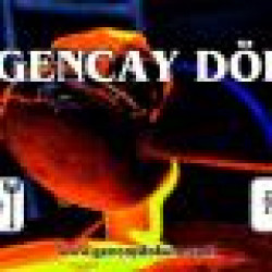 GENCAY DOKUM LTD. STI.