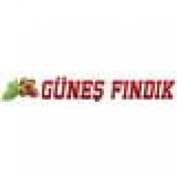GUNES FINDIK LTD. STI.