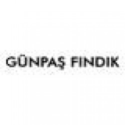 GUNPAS OTOMOTIV A.S.