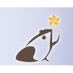 Hubei Kimsoul Industrial Co., Ltd.