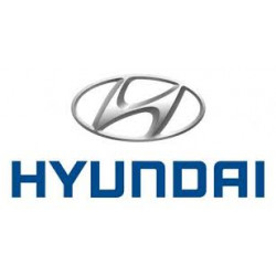 Hyundai Assan Otomotiv San. Ve Tic. A.ş.