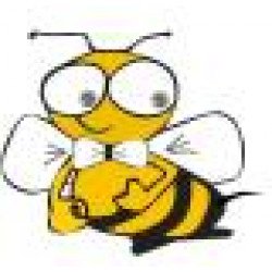 IM BEE TEXTILE  LTD. STI.